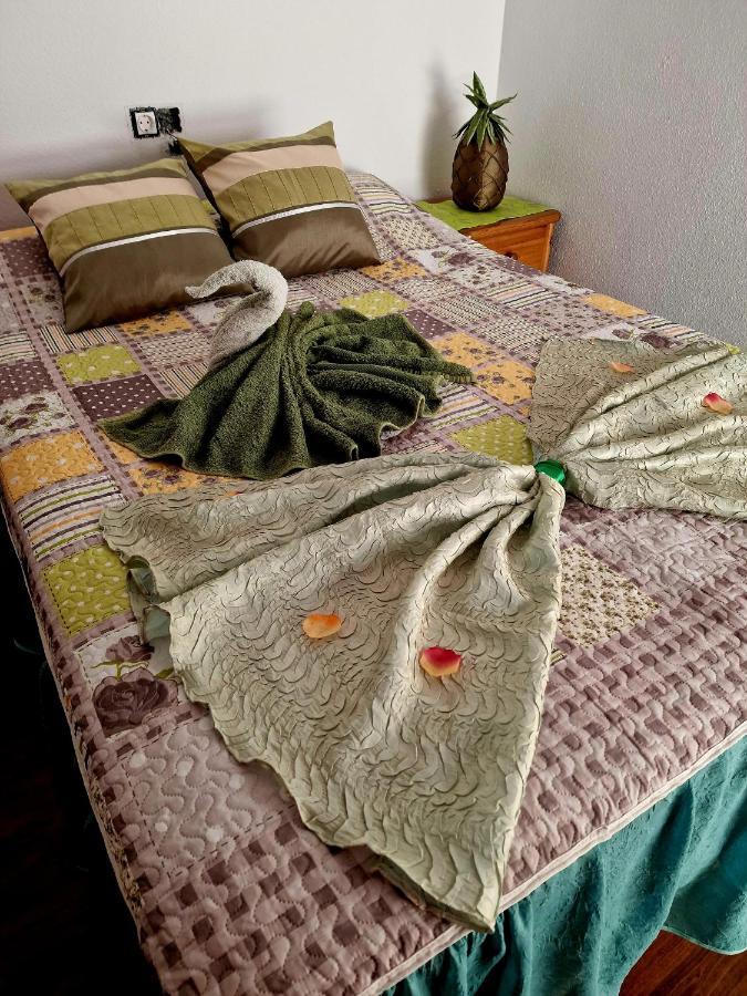 Apartment Carmen